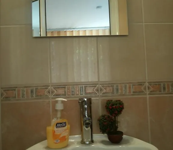 Simplycomfy 普罗夫迪夫